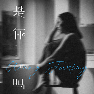 depixon同人动画合集密码
