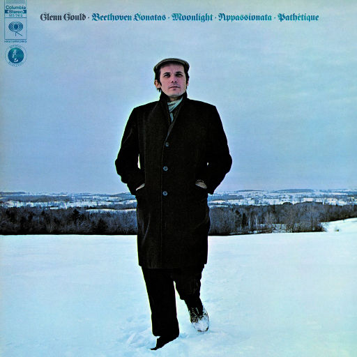 depixon同人动画合集密码
